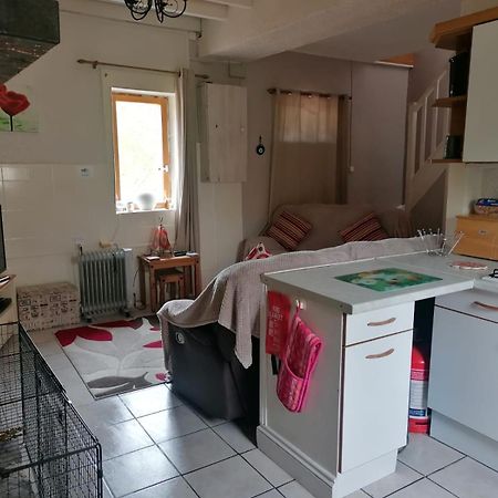 Le Petit Verger, 1 Impasse De La Fenouillere 61330 Céaucé Exterior foto