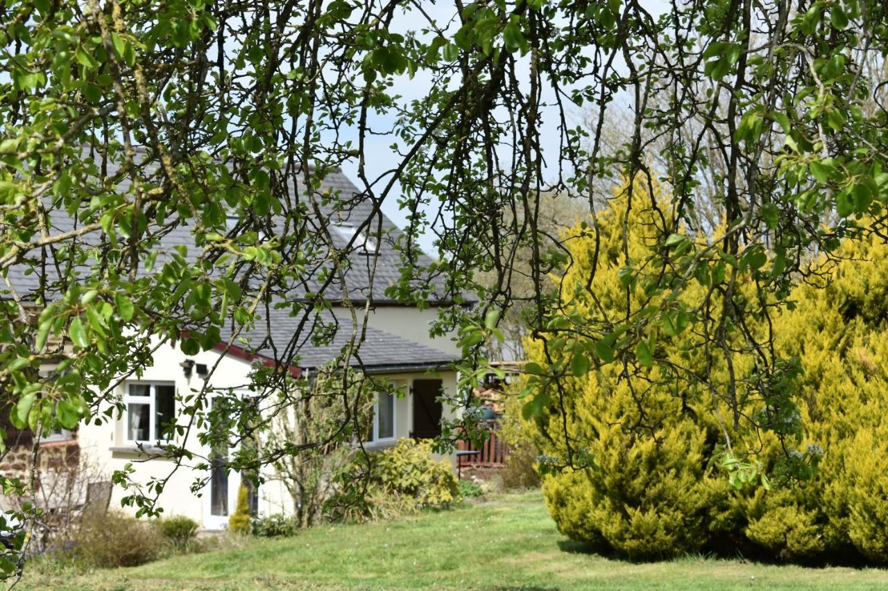 Le Petit Verger, 1 Impasse De La Fenouillere 61330 Céaucé Exterior foto
