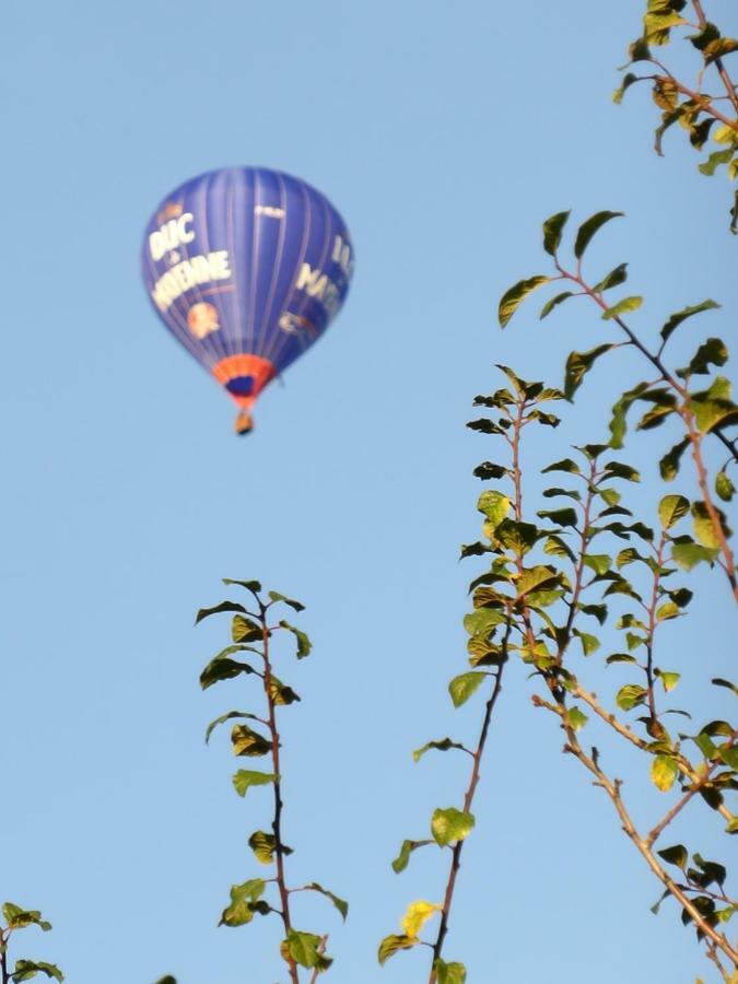 Le Petit Verger, 1 Impasse De La Fenouillere 61330 Céaucé Exterior foto